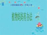 人教版（部编版）小学语文二年级上册 3.植物妈妈有办法  课件