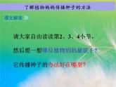 人教版（部编版）小学语文二年级上册 3.植物妈妈有办法  课件