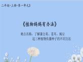 人教版（部编版）小学语文二年级上册 3.植物妈妈有办法  课件