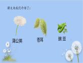 人教版（部编版）小学语文二年级上册 3.植物妈妈有办法  课件