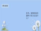 人教版（部编版）小学语文二年级上册 3.植物妈妈有办法  课件