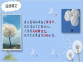 人教版（部编版）小学语文二年级上册 3.植物妈妈有办法  课件