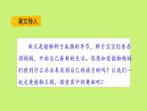 人教版（部编版）小学语文二年级上册 3.植物妈妈有办法  课件