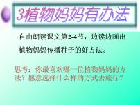 小学语文人教部编版二年级上册课文13 植物妈妈有办法说课课件ppt