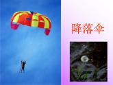 人教版（部编版）小学语文二年级上册 3.植物妈妈有办法  课件