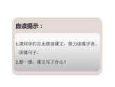 人教版（部编版）小学语文二年级上册 3.植物妈妈有办法  课件