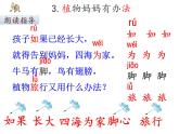 人教版（部编版）小学语文二年级上册 3.植物妈妈有办法  课件