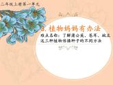 人教版（部编版）小学语文二年级上册 3.植物妈妈有办法  课件