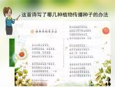 人教版（部编版）小学语文二年级上册 3.植物妈妈有办法  课件