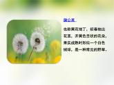 人教版（部编版）小学语文二年级上册 3.植物妈妈有办法  课件