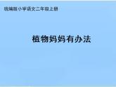 人教版（部编版）小学语文二年级上册 3.植物妈妈有办法  课件