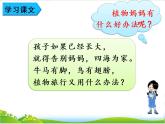 人教版（部编版）小学语文二年级上册 3.植物妈妈有办法  课件