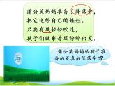人教版（部编版）小学语文二年级上册 3.植物妈妈有办法  课件