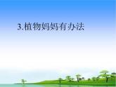 人教版（部编版）小学语文二年级上册 3.植物妈妈有办法  课件