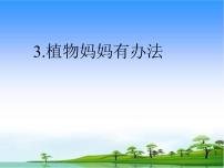 小学语文人教部编版二年级上册3 植物妈妈有办法示范课ppt课件