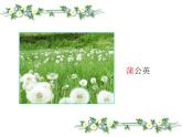 人教版（部编版）小学语文二年级上册 3.植物妈妈有办法  课件