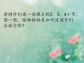 人教版（部编版）小学语文二年级上册 3.植物妈妈有办法  课件