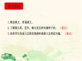 人教版（部编版）小学语文二年级上册 3.植物妈妈有办法  课件