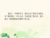 人教版（部编版）小学语文二年级上册 3.植物妈妈有办法  课件