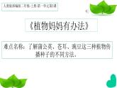 人教版（部编版）小学语文二年级上册 3.植物妈妈有办法  课件