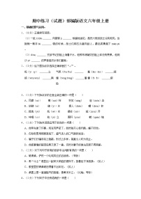 期中练习（试题）部编版语文六年级上册 (6)