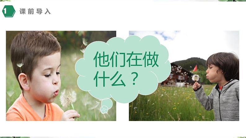 【同步备课】3 植物妈妈有办法（课件）二年级上册语文 部编版第4页