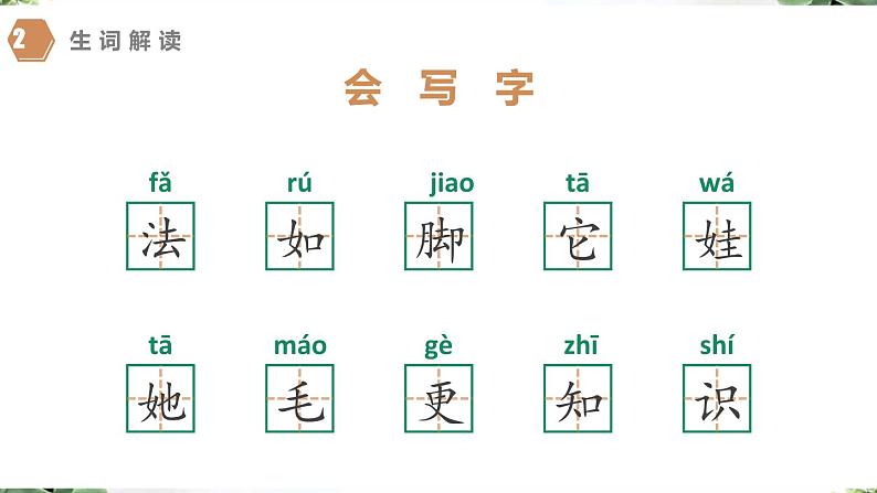 【同步备课】3 植物妈妈有办法（课件）二年级上册语文 部编版08