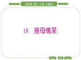 人教版语文五年级上第六单元18 慈母情深 PPT