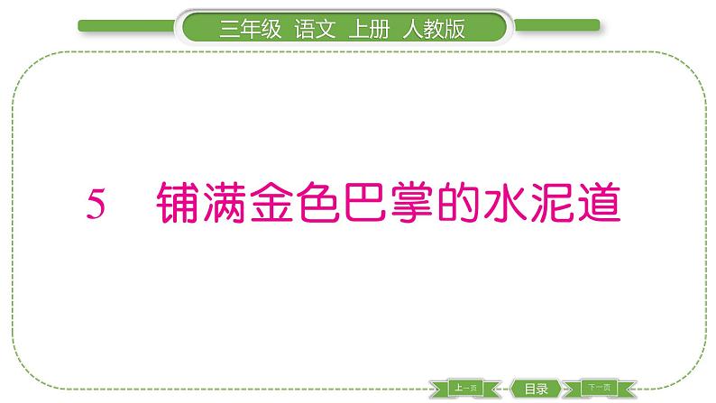 人教版语文三年级上第二单元5 铺满金色巴掌的水泥道PPT第1页