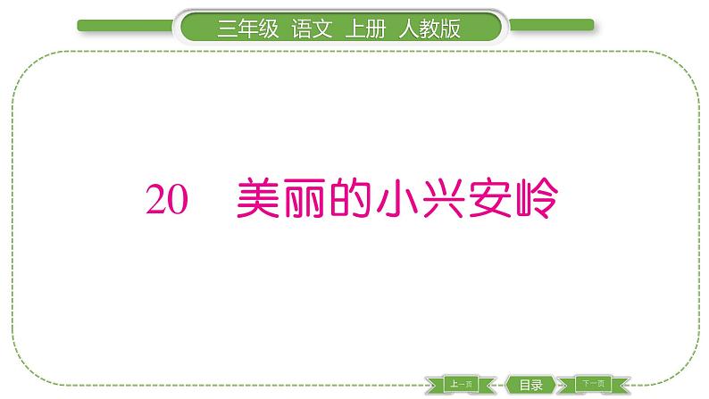 人教版语文三年级上第六单元20 美丽的小兴安岭PPT第1页