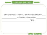 人教版语文三年级上第六单元语文园地六PPT