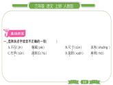 人教版语文三年级上第七单元22 读不完的大书PPT