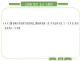 人教版语文三年级上第八单元双休单元阅读八PPT