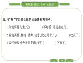 人教版语文五年级上第一单元2 落花生 PPT
