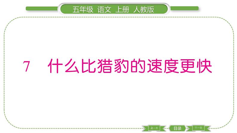 人教版语文五年级上第二单元7 什么比猎豹的速度更快 PPT第1页