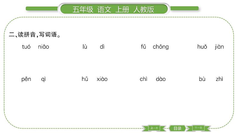 人教版语文五年级上第二单元7 什么比猎豹的速度更快 PPT第3页