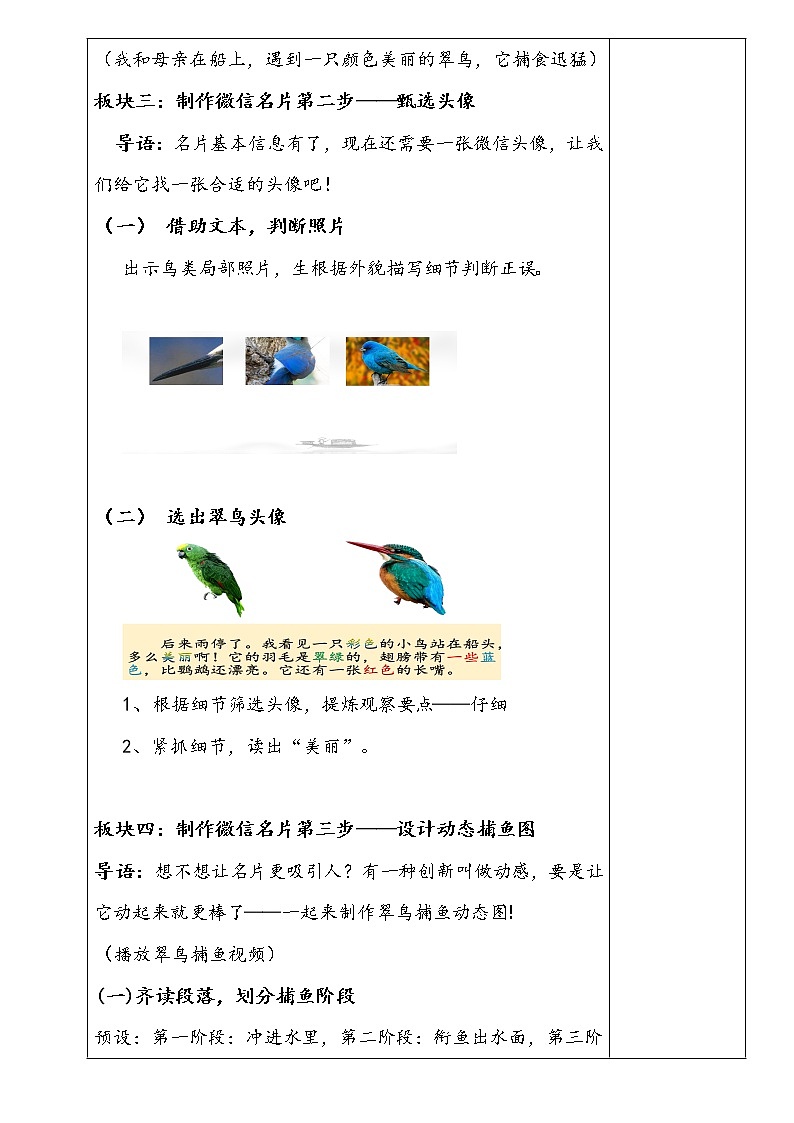 部编版三年级上册语文《搭船的鸟》教案精品第3页