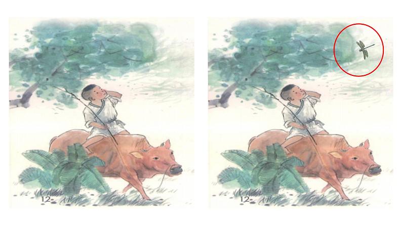 部编版三年级上册语文《15搭船的鸟》课件（精品）02