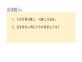 部编版三年级上册语文《15搭船的鸟》课件（精品）