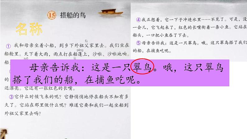 部编版三年级上册语文《15搭船的鸟》课件（精品）08