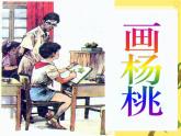二年级下册语文课件-13.画杨桃-部编版(共21张PPT)