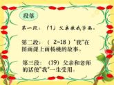 二年级下册语文课件-13.画杨桃-部编版(共21张PPT)