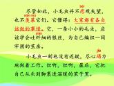 二年级下册语文课件-22.小毛虫-部编版(共25张PPT)
