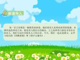 二年级上册语文课件－8.古诗二首 部编版 (共30张PPT)