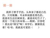 人教版（部编版）小学语文二年级上册 口语交际：有趣的动物    课件