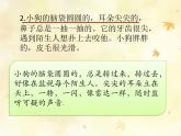 人教版（部编版）小学语文二年级上册 口语交际：有趣的动物    课件
