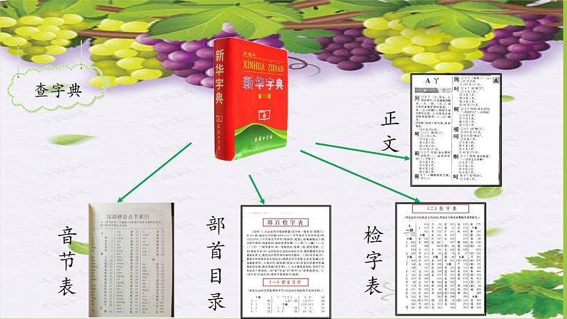 人教版（部编版）小学语文二年级上册  部首查字法  课件第4页