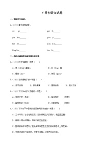 人教部编版语文小升初模拟精品试卷六（有答案）