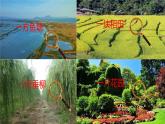 二年级上册语文部编版教案课文识字1.场景歌  课件