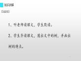 二年级上册语文部编版教案课文识字2.树之歌  课件